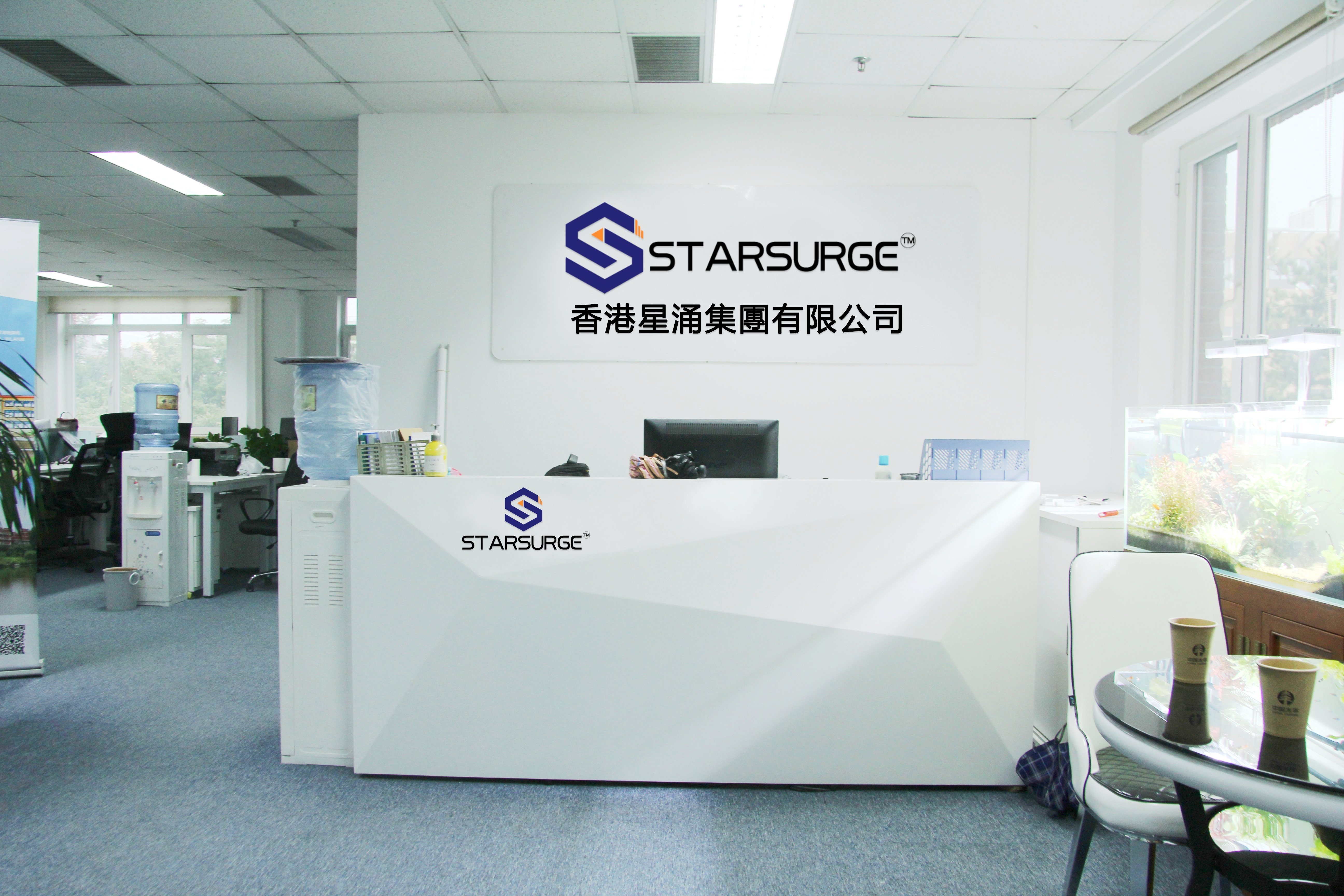Çin Hong Kong Starsurge Group Co., Limited şirket Profili