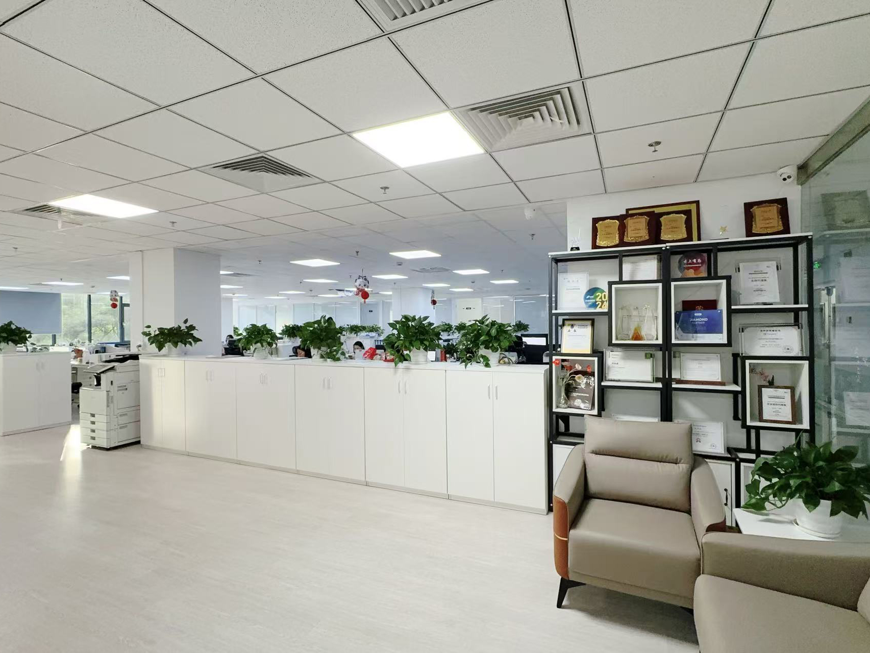Çin Hong Kong Starsurge Group Co., Limited şirket Profili