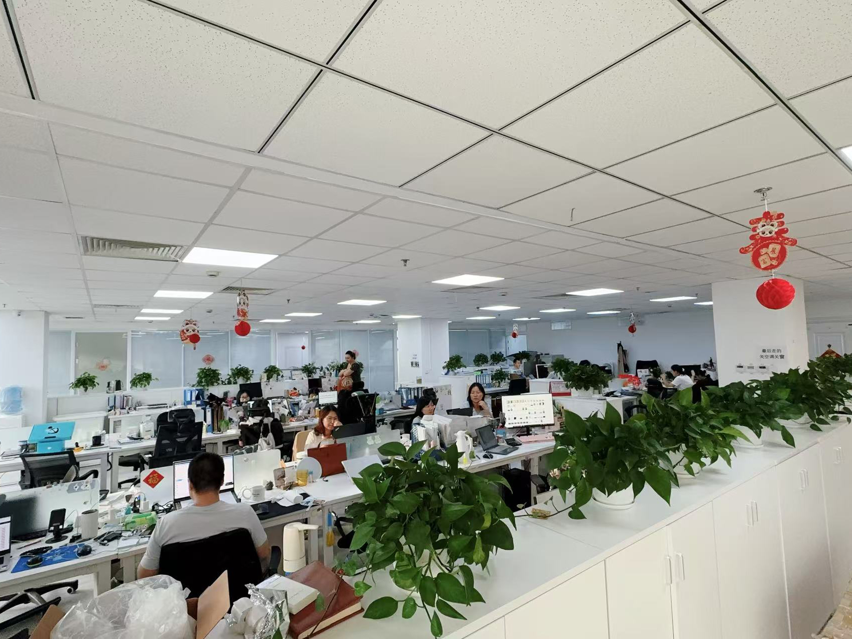 Çin Hong Kong Starsurge Group Co., Limited şirket Profili